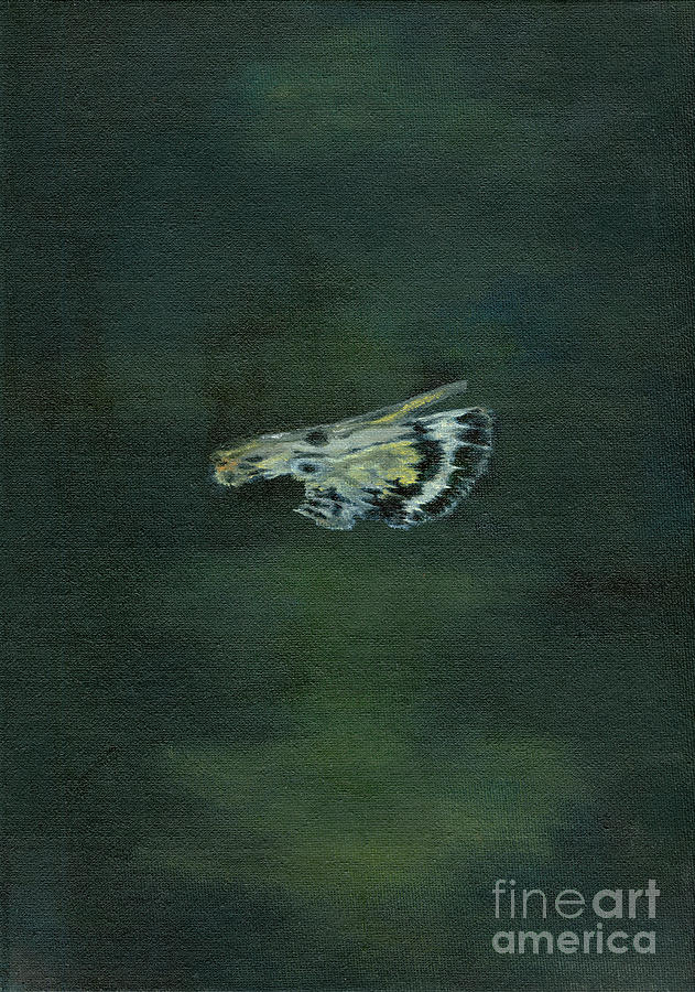 Moth Wing Painting by Bella Larsson