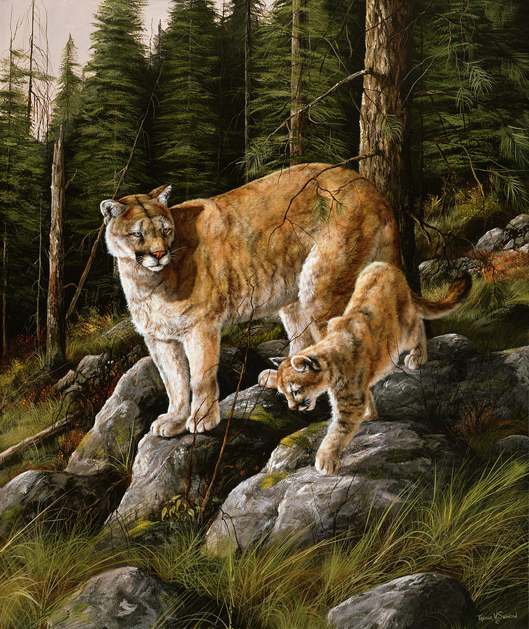 Mountain Lions Painting - Mother And Child (mt. Lions) by Trevor V. Swanson