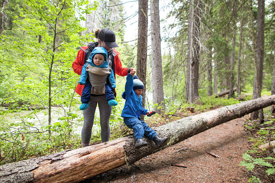 Sports Photograph - Mother Hikes Through The Forest With Her Two Childern. by Cavan Images