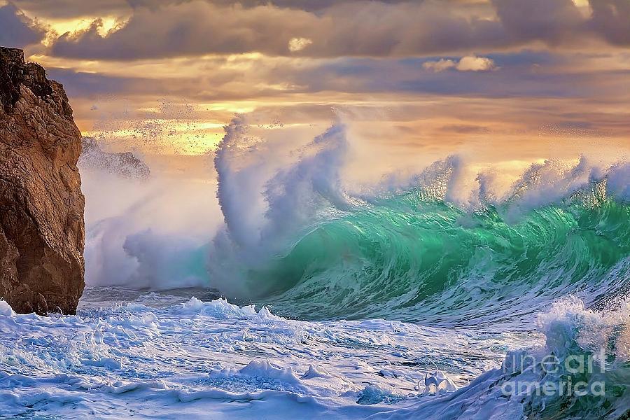 Mother Nature by EliteBrands Co Mother Nature by EliteBrands Co
