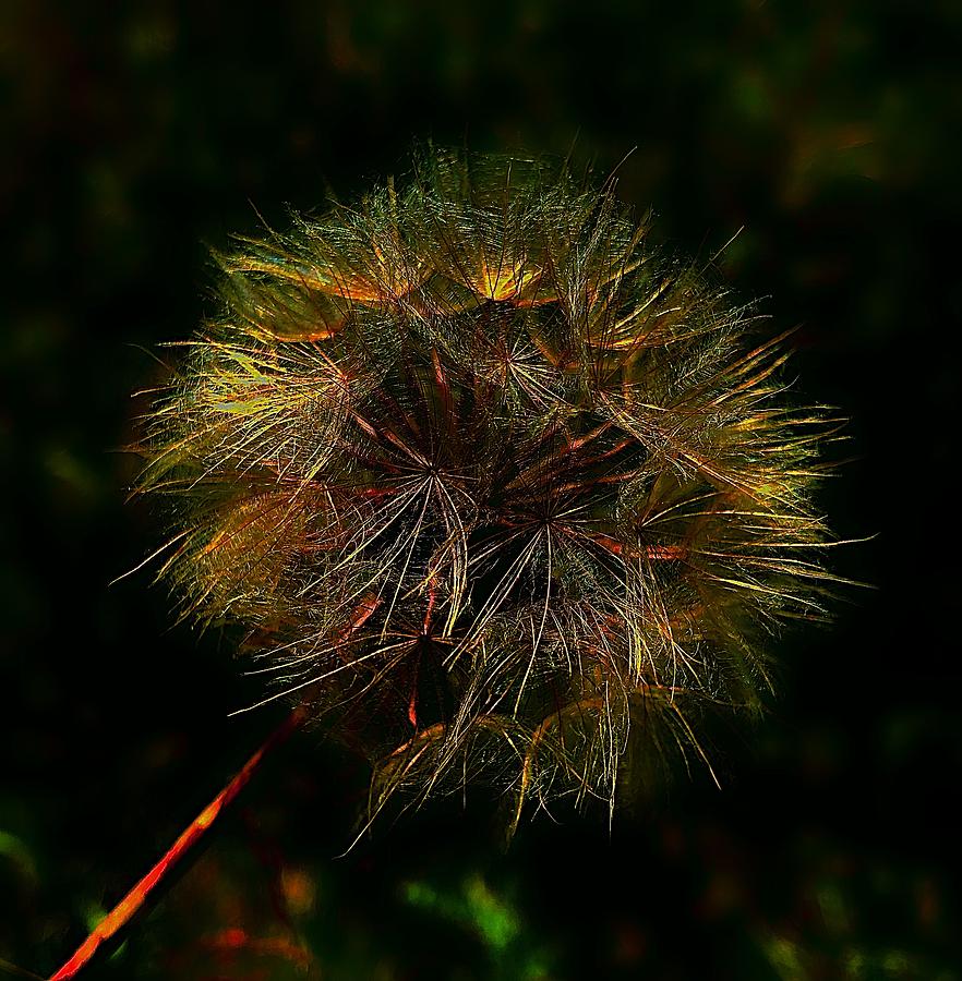 Mother Nature's Fireworks by Mario MJ Perron Mother Nature's Fireworks by Mario MJ Perron