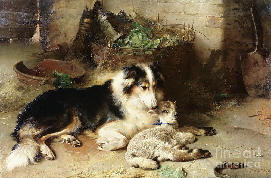 Motherless: The Shepherds Pet, 1897 Painting by Walter Hunt