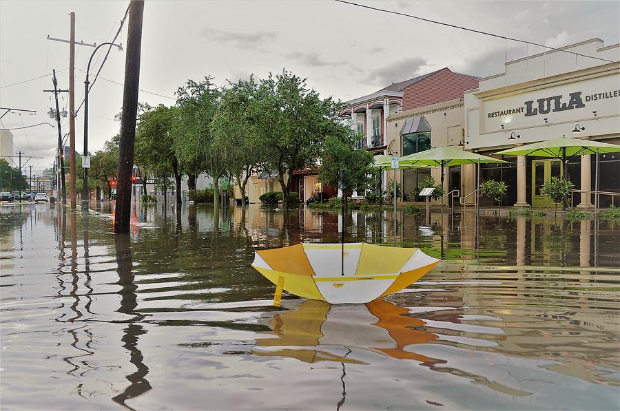 New Orleans Photograph - Mothers Day Flood 2019 Lower Garden District On St. Charles Avenue In New Orleans by Michael Hoard