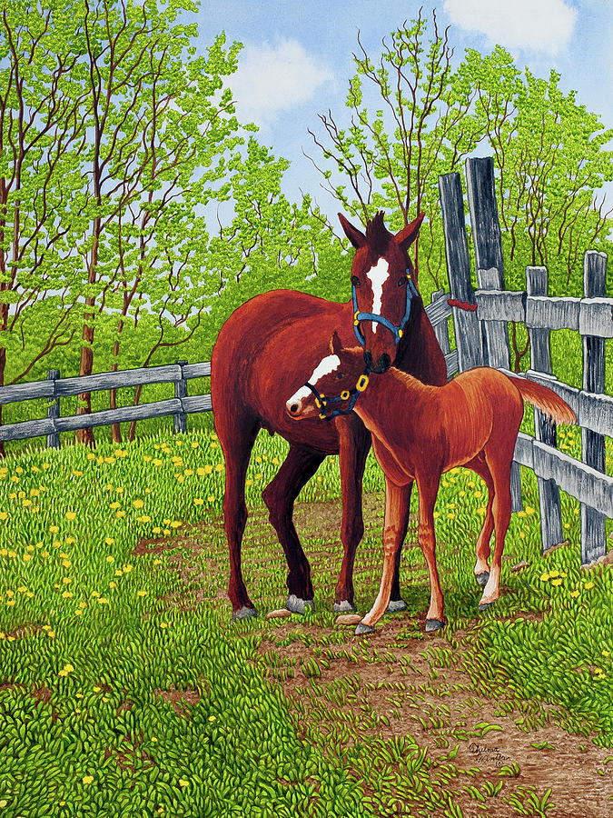Horse Painting - Mothers Love, Machias Ny by Thelma Winter