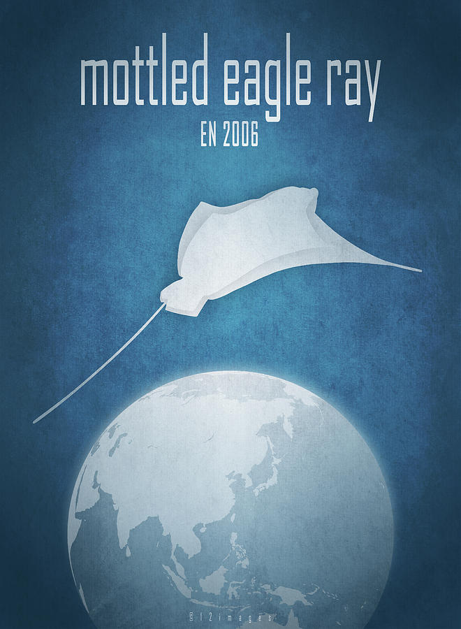 Mottled eagle ray Digital Art by Moira Risen