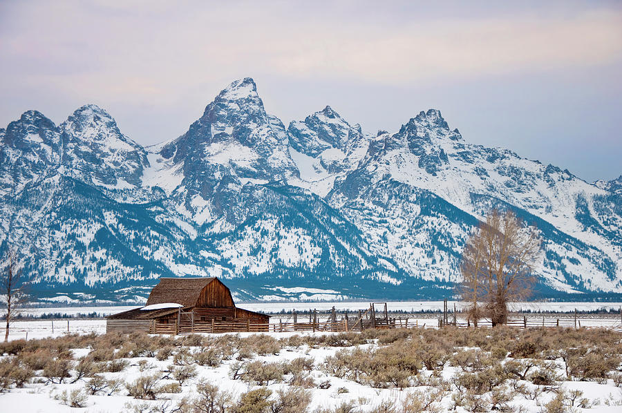 Moulton Barn And Teton Range In Jackson Hole Valley In The Winter ...