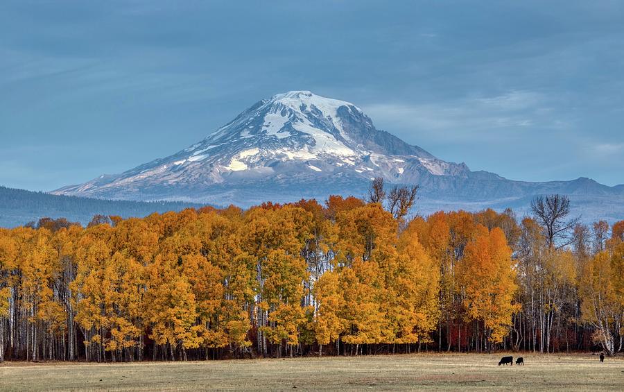 Mount Adams dressed in fall Photograph by Lynn Hopwood
