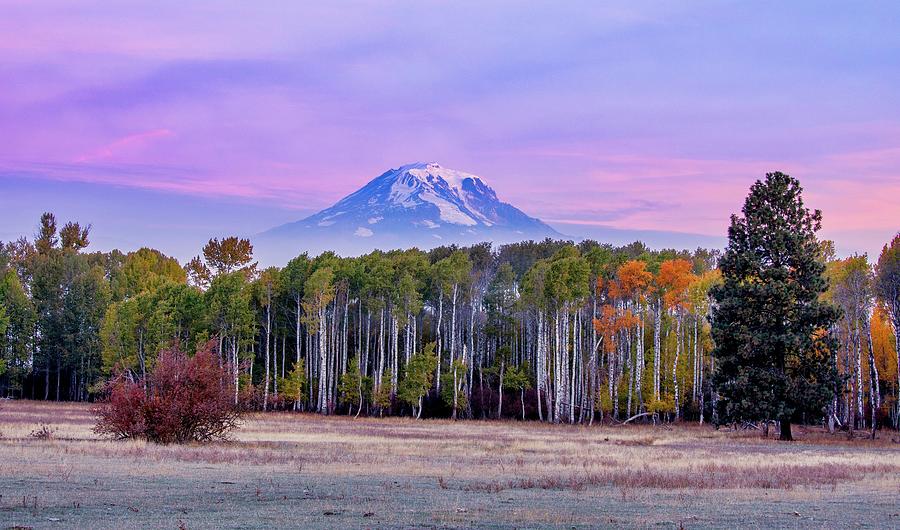 Mount Adams Sunrise 2 Photograph by Lynn Hopwood