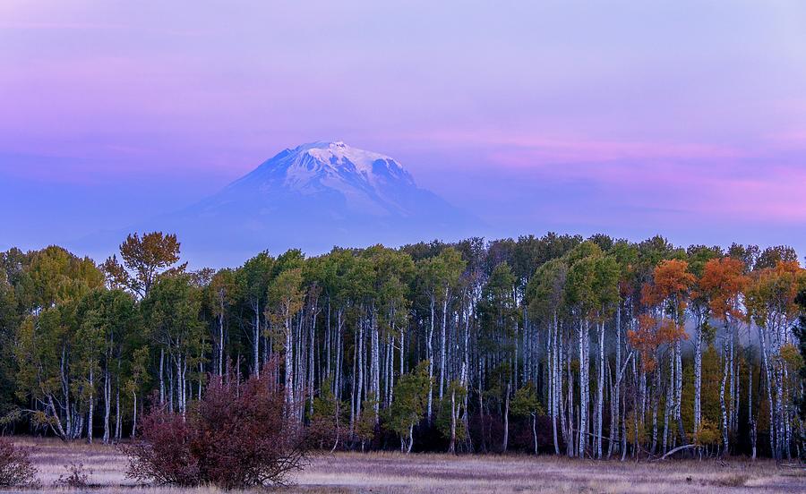 Mount Adams sunrise  Photograph by Lynn Hopwood