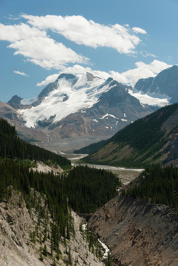 Mount Athabasca With Sunwapta River Photograph by John Elk Iii