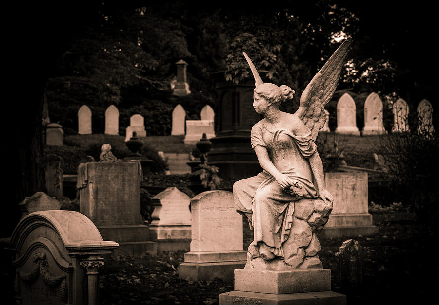 Mount Auburn Cemetery Guardian Angel Photograph by Michael Saunders