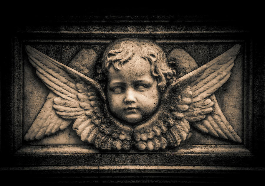 Mount Auburn Cemetery Guardian Cherub 2 Photograph by Michael Saunders