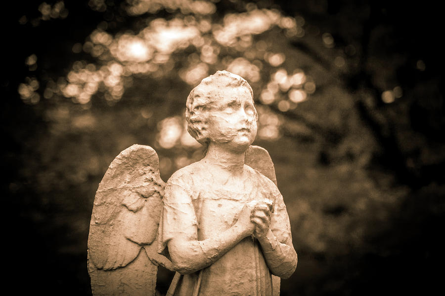 Mount Auburn Cemetery Angel Louie Photograph by Michael Saunders