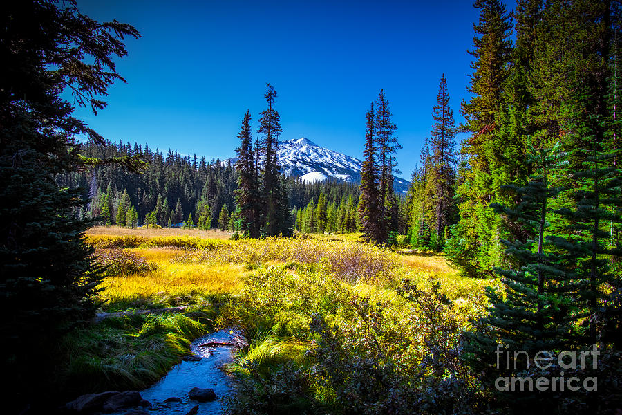Mount Bachelor and Meadow by Stan Townsend Mount Bachelor and Meadow by Stan Townsend