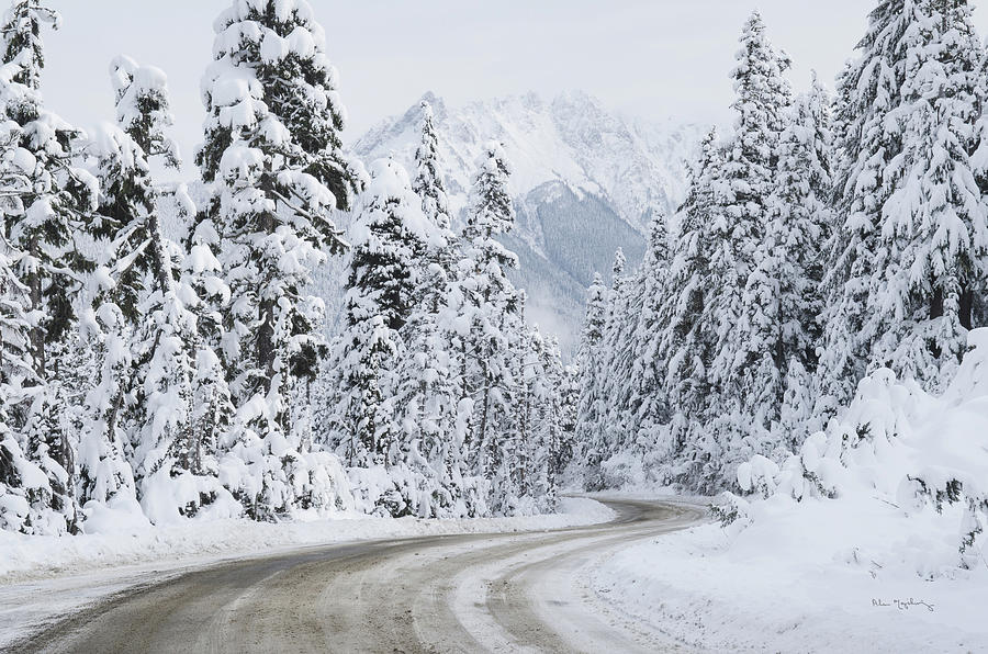 Landscape Photograph - Mount Baker Highway I by Alan Majchrowicz