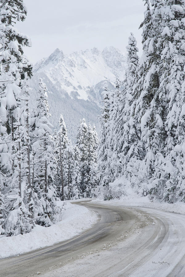 Abstract Photograph - Mount Baker Highway II by Alan Majchrowicz