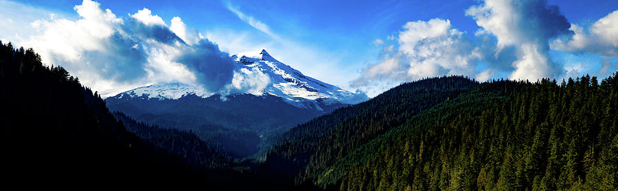 Mount Baker in the summer Photograph by Steve Bunch