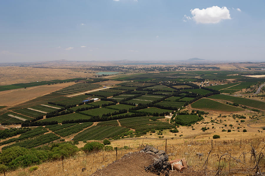 Mount Bental, Israel - Looking Toward Photograph by Brett Weinstein
