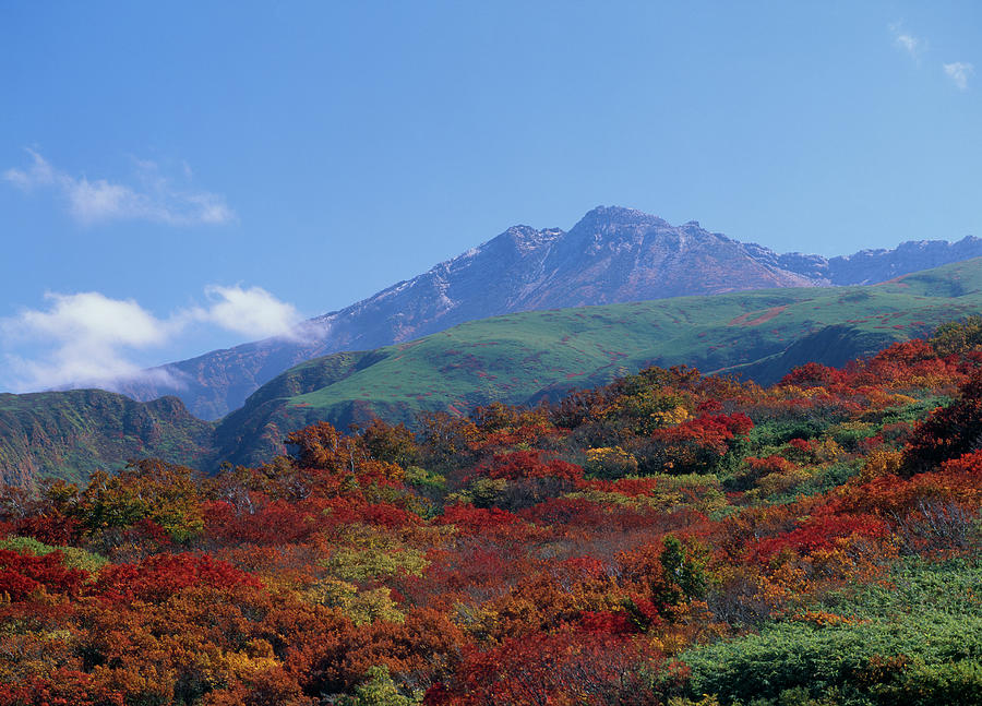 Mount Chokai And Autumn Leaves, Nikaho Photograph by Mixa