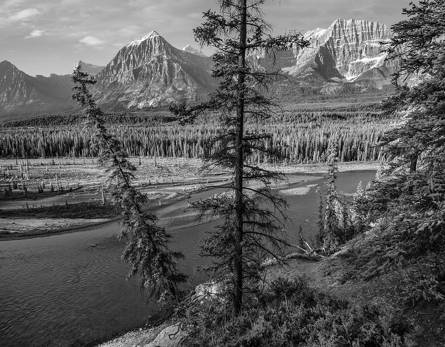 Mount Christie Jasper National Park Photograph by Tim Fitzharris