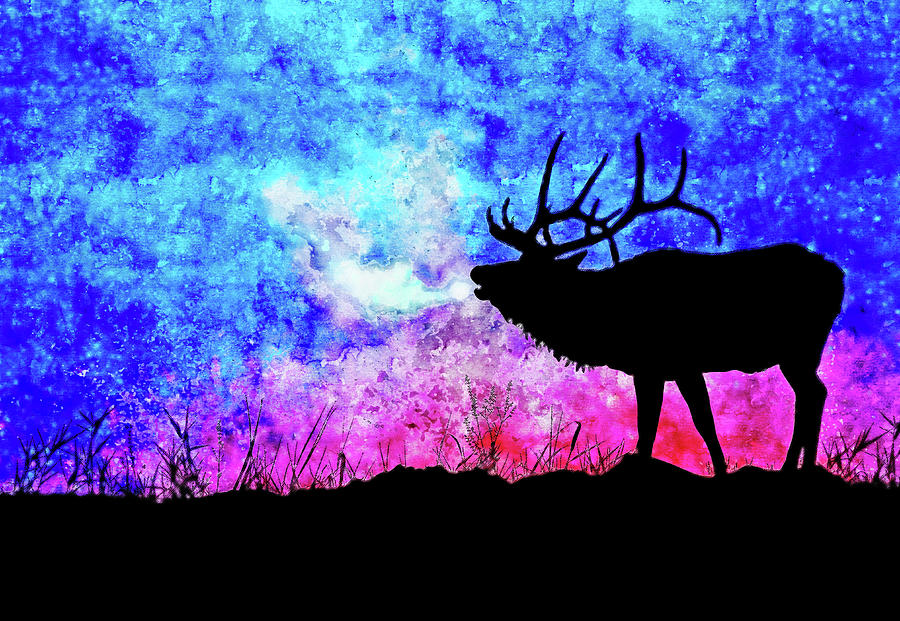 Mount deer watercolor drawing by Hasan Ahmed Mount deer watercolor drawing by Hasan Ahmed