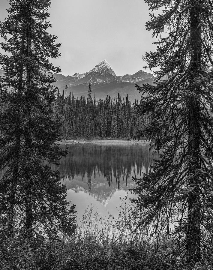 Mount Edith Cavell Jasper National Park Photograph by Tim Fitzharris