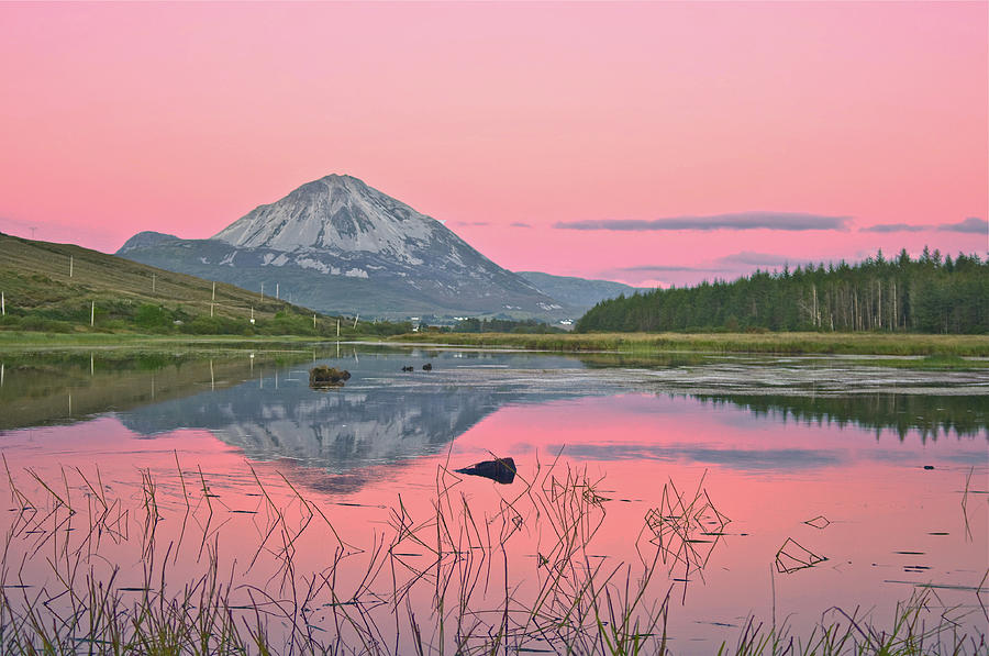 Mount Errigal Photograph by //tom O Hare// Images//