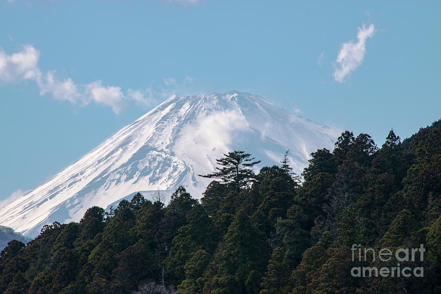 Mount Fuji above the Tree Line Photograph by Bob Phillips