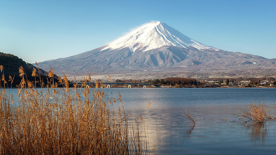 Mount Fuji Photograph by Alex Mironyuk - Fine Art America