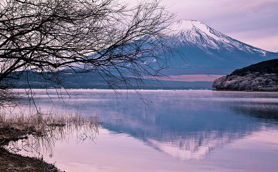 Nature Photograph - Mount Fuji by Andrew Barte Photography