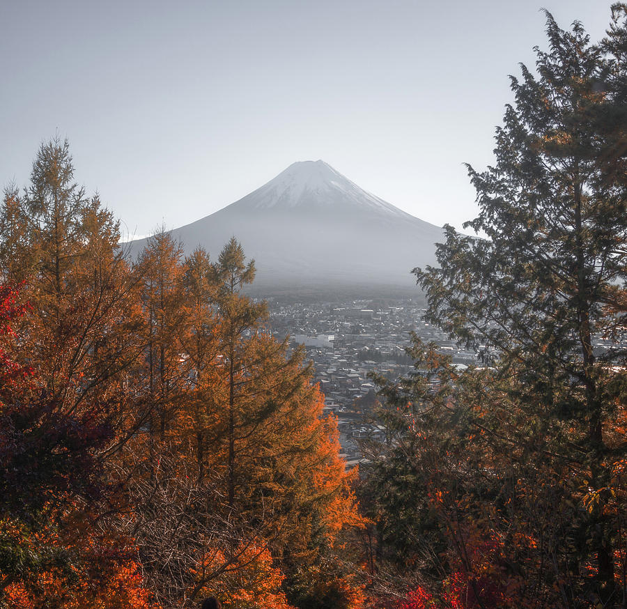 Mount Fuji Autumn I by Francis Ansing Mount Fuji Autumn I by Francis Ansing