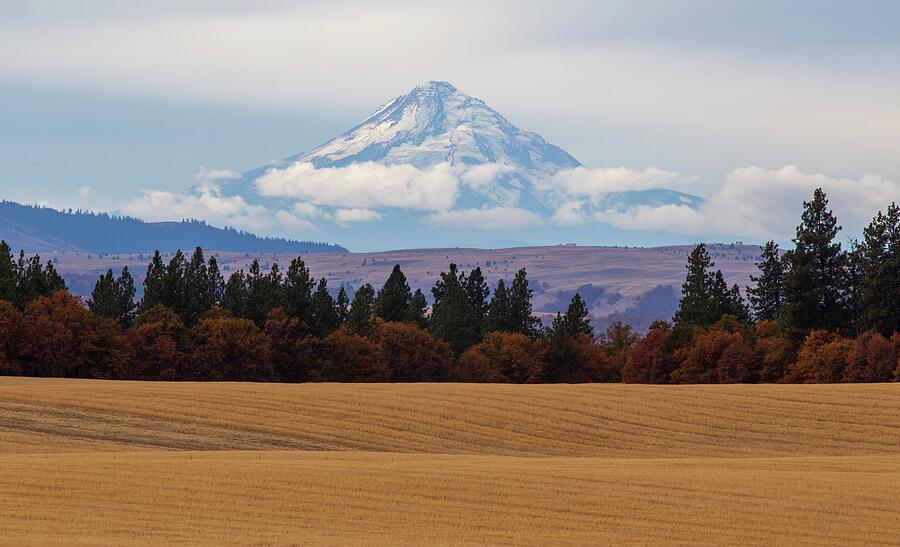 Mount Hood and layers Photograph by Lynn Hopwood