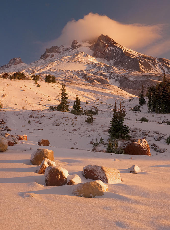 Mount Hood Morning Light Photograph by Darren White Photography