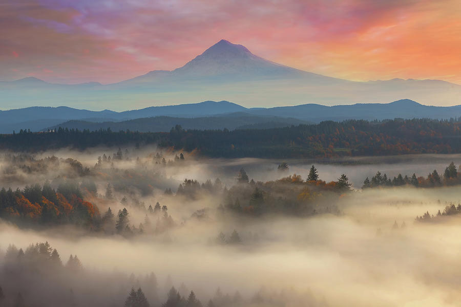 Mount Hood over Foggy Sandy River Valley Sunrise Photograph by David Gn