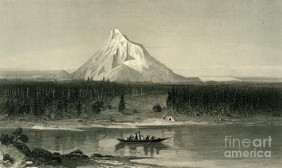 Mount Hood Drawing by Print Collector