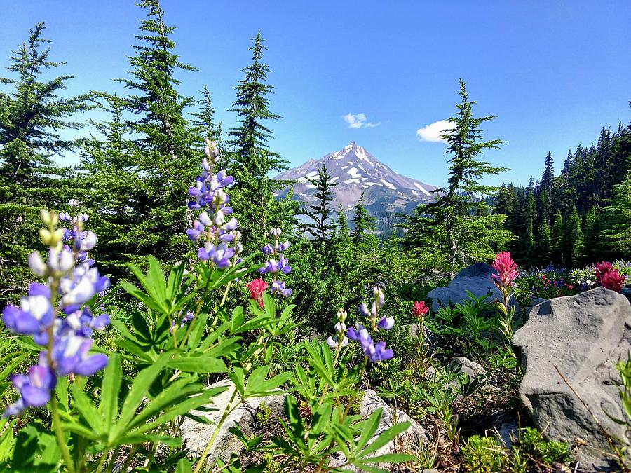 Mount Jefferson Wilderness Photograph by Stephanie Abraham - Fine Art ...