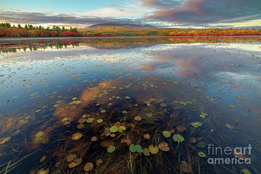 Mount Katahdin from Compass Pond Photograph by Craig Shaknis