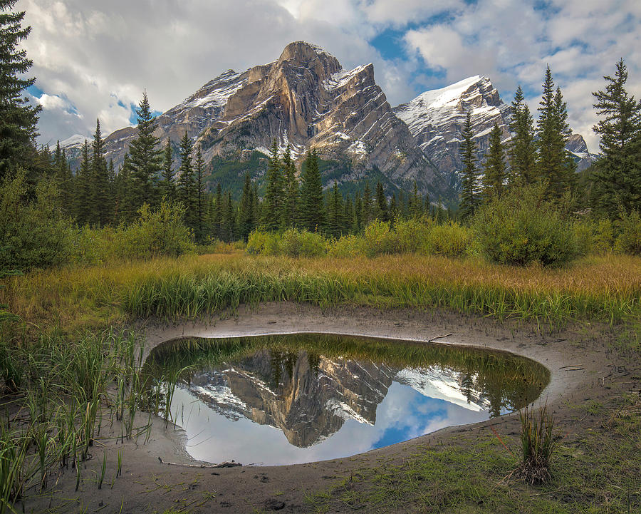 Mount Kidd Reflected In Pond by Tim Fitzharris Mount Kidd Reflected In Pond by Tim Fitzharris