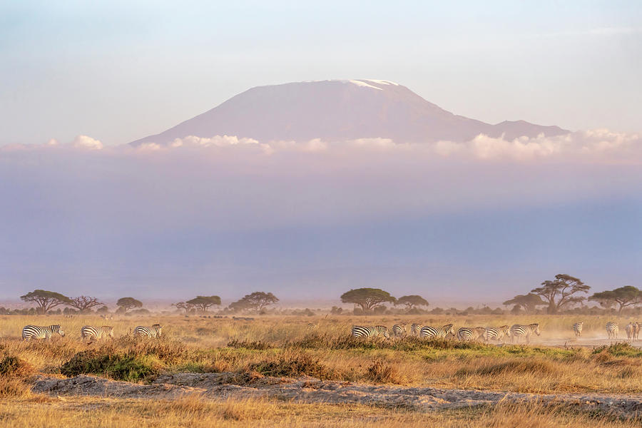Mount Kilimanjaro at Sundown Photograph by Betty Eich