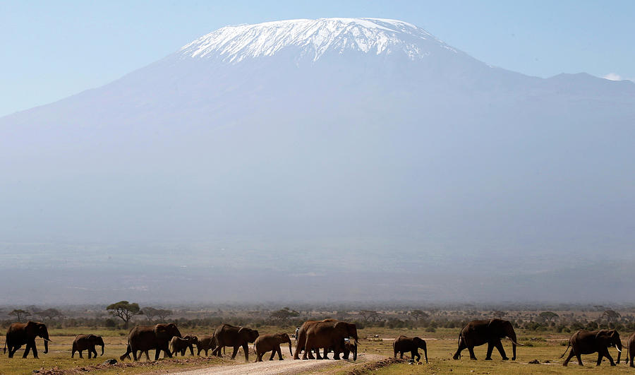 Mount Kilimanjaro in the Distance Photograph by Goran Tomasevic - Fine ...