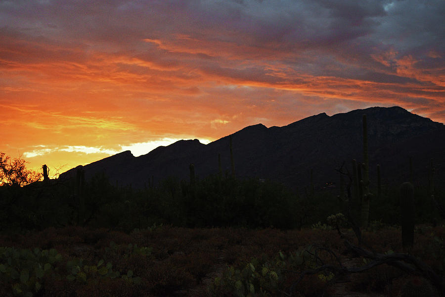 Mount Kimball Sunset Glow, Tucson, AZ Photograph by Chance Kafka