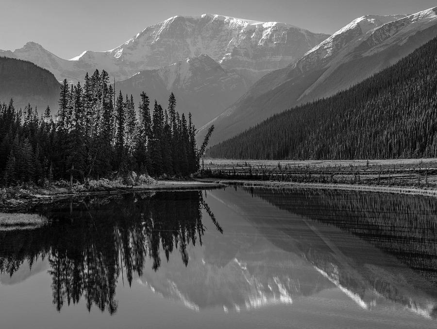 Mount Kitchener And Athabasca River Photograph by Tim Fitzharris