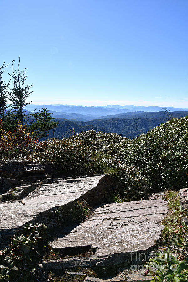 Mount LeConte 10 Photograph by Phil Perkins
