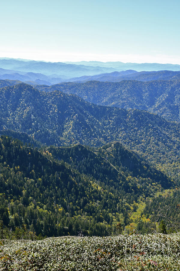 Mount LeConte 12 Photograph by Phil Perkins