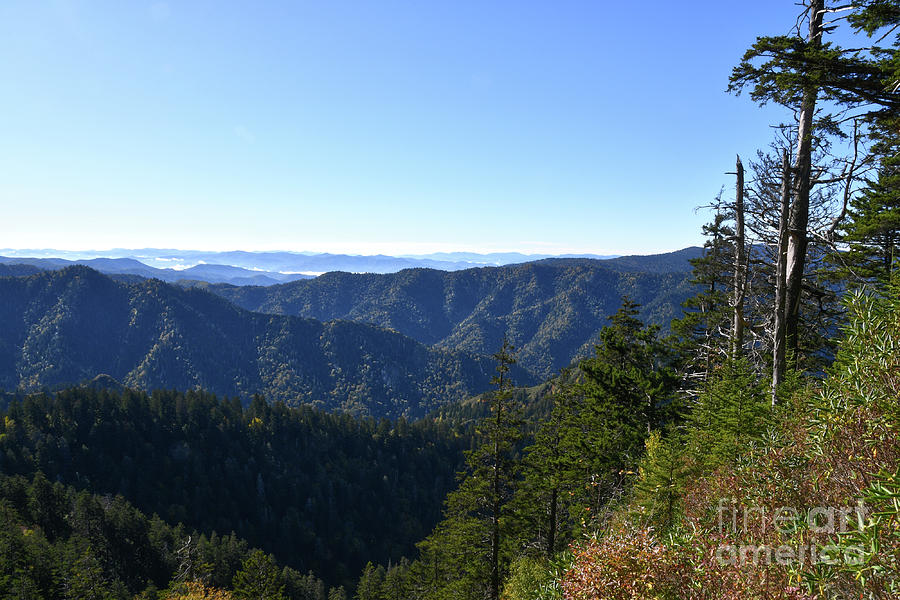 Mount LeConte 7 by Phil Perkins Mount LeConte 7 by Phil Perkins