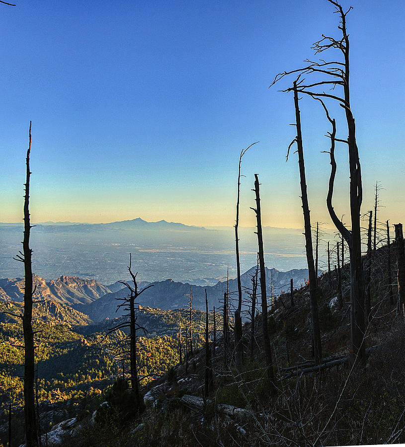 Mount Lemmon Summit Vista Photograph by Chance Kafka