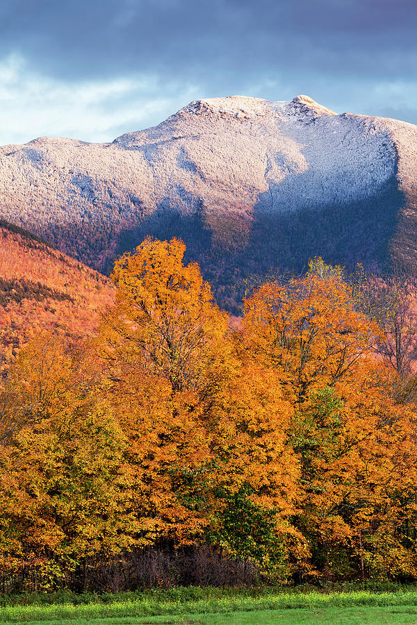 Mount Mansfield Foliage Snowfall Photograph By Alan L Graham