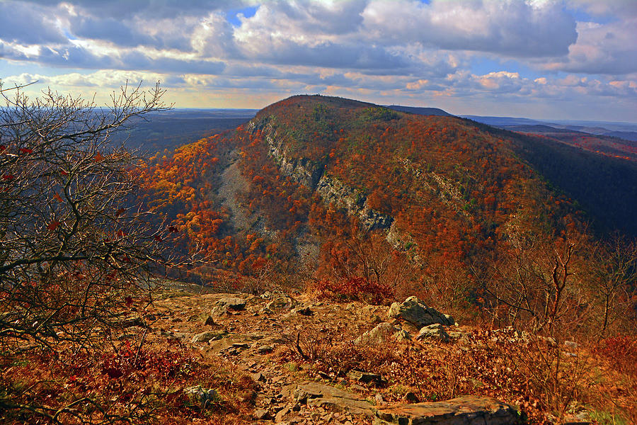 Mount Minsi in the Fall Photograph by Raymond Salani III