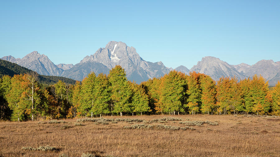 Mount Moran and Fall Colors Photograph by Alex Mironyuk