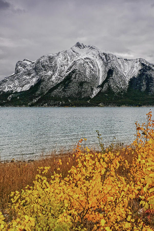 Mount Mumford in Autumn Photograph by Catherine Reading